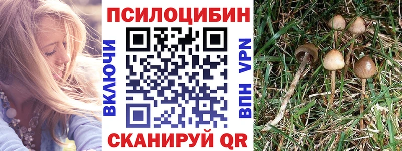 Псилоцибиновые грибы Cubensis Отрадное