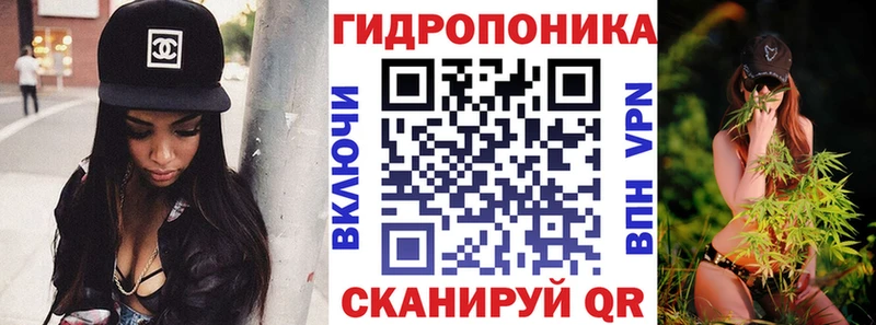 Конопля планчик  Отрадное 